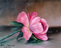 TULIPÁN HOLANDÉS ROSA, OCTAVIO URBINA ÁVAREZ
